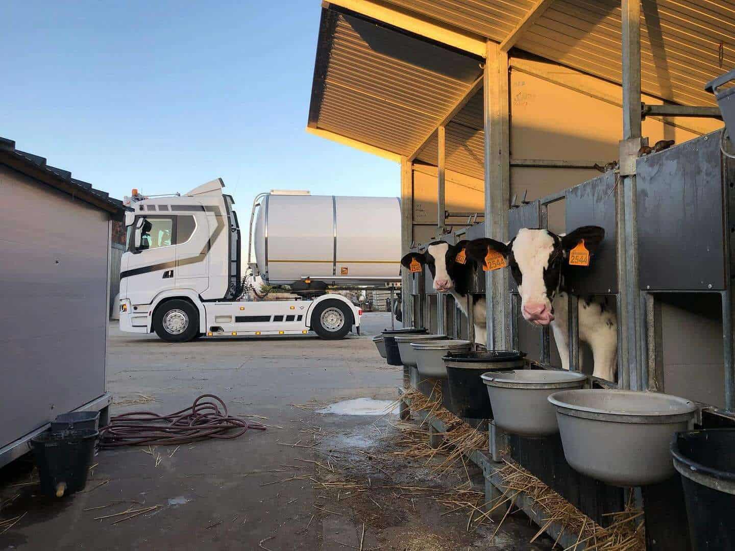 Mytraco RMO-wagen voor melkophaling bij veehouderij &ndash; transport dierenvoeding Limburg